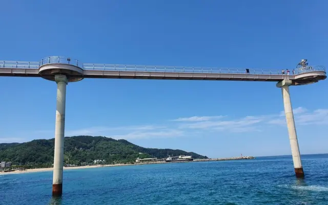 울진 숲속의산장펜션 전망