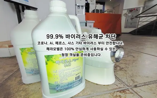 충주 헤라 수영장