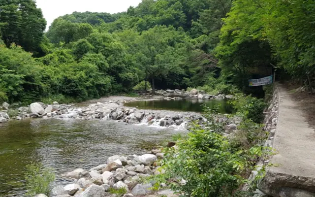 무주 해바라기펜션 수영장