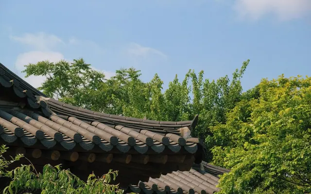 전주영화호텔 전망