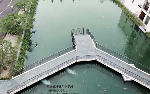 파인포레스트 정선 알파인리조트 수영장