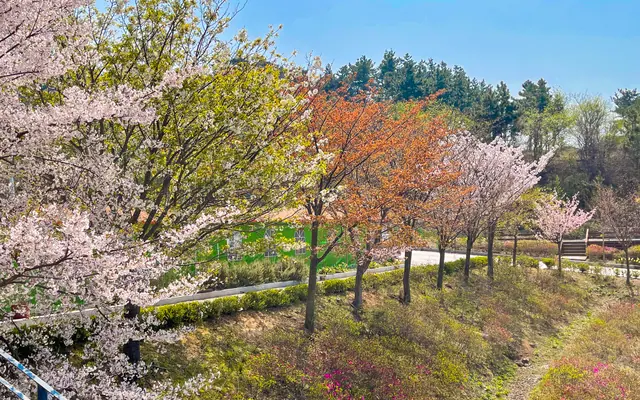 부안 더웨스트변산리조트 전망