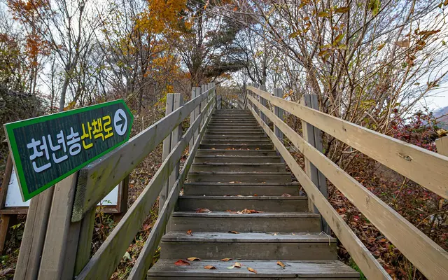 남원 하늘정원빌리지 전망