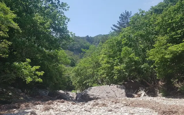 별동산 달빛아래 전망