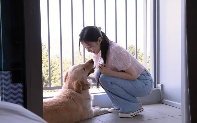 세인트존스호텔 전망
