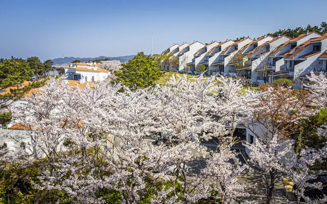 아일랜드 리솜 전망