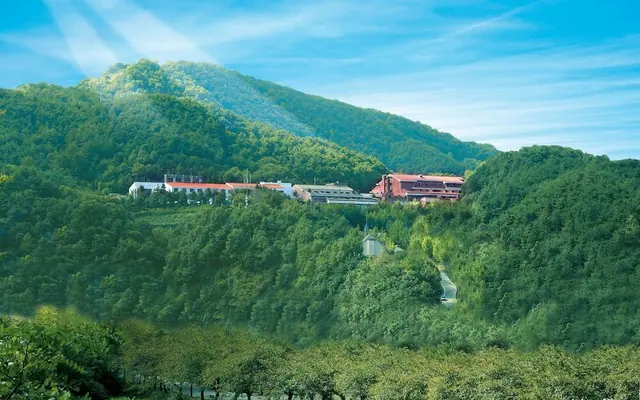 충주 수안보 파크 호텔 — 충주 호텔