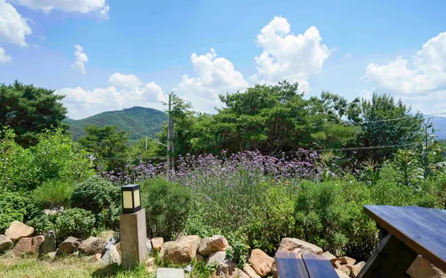 단양 금수산한옥펜션 적성재 전망