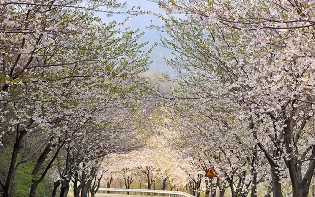 영주 부석사아래단풍길펜션 전망