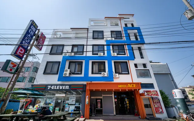 보령(대천) 에이스 — 보령 기타