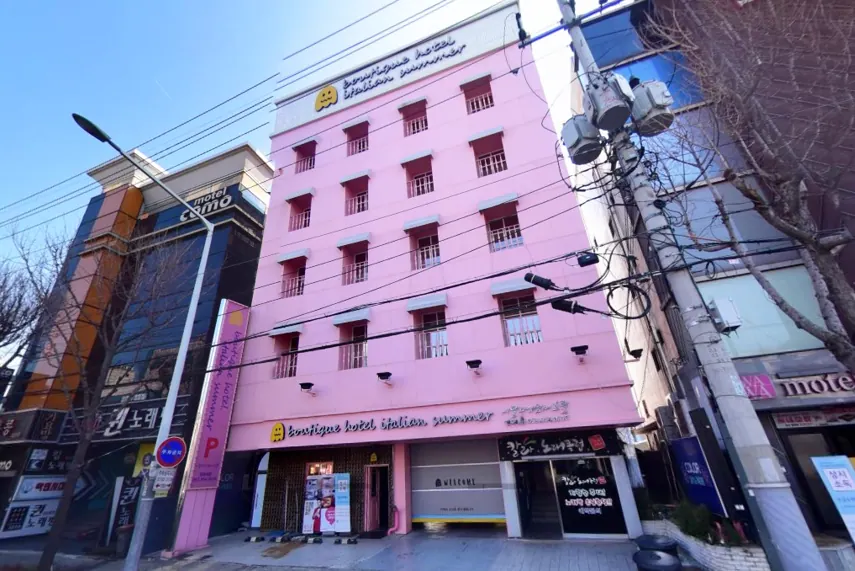대구 경북대 이탈리안썸머 대표 사진
