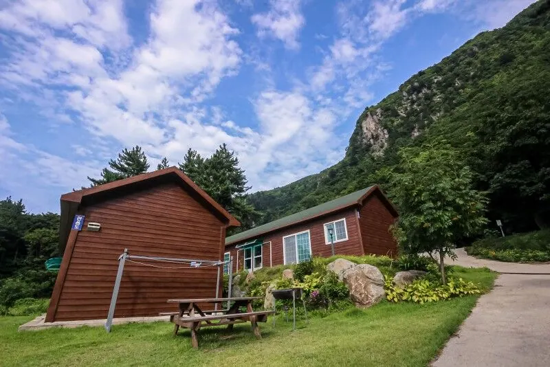 울릉도 산새소리펜션 대표 사진
