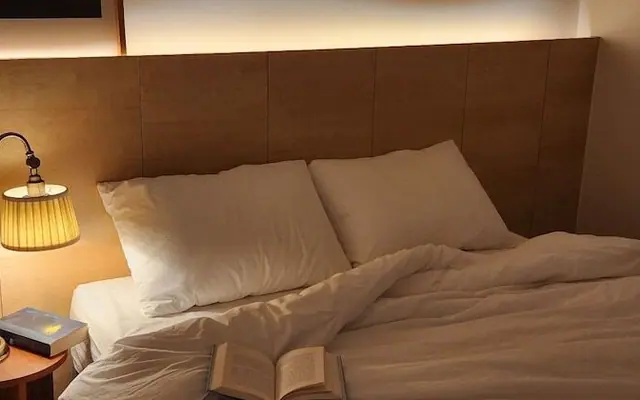월드 하우스 — 포항 기타
