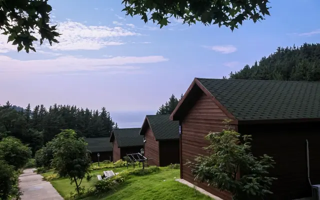 울릉도 산새소리펜션 전망