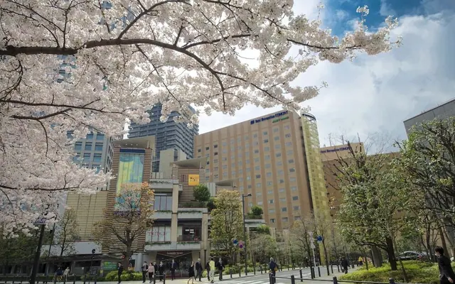 호텔 메트로폴리탄 에드몬트 도쿄 — 도쿄 호텔