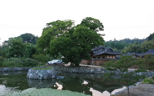 보성이진래고택 사진