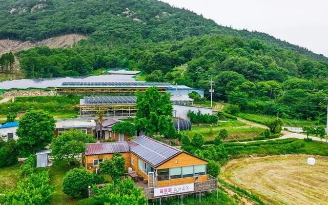 Gangjin Hyeonwoo Farm Farm Experience B&B — 강진 기타
