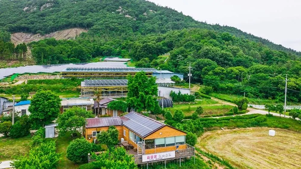 Gangjin Hyeonwoo Farm Farm Experience B&B 대표 사진