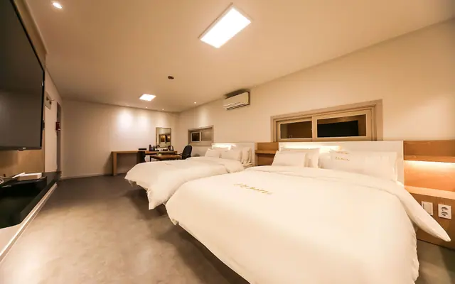 안동 꿈의궁전 — 안동 기타