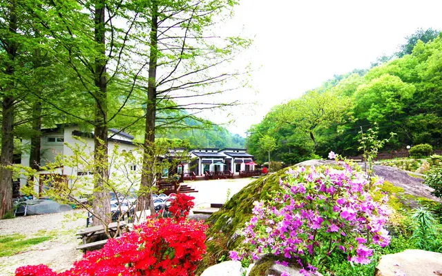 하동 지리산시인의정원펜션 — 하동 펜션