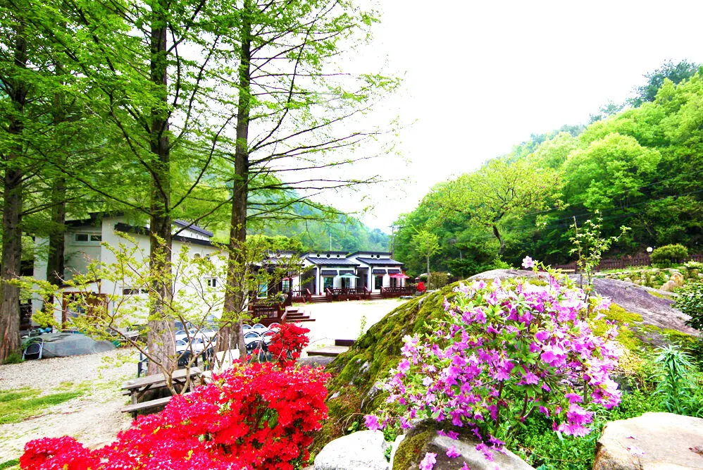 하동 지리산시인의정원펜션 대표 사진