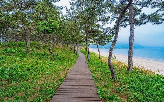 완도 솔비치펜션 전망