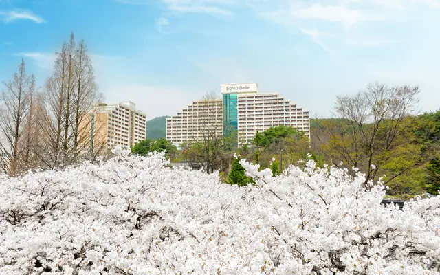 소노벨 단양 East 외관
