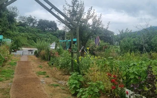 영주 별빛정원펜션 전망