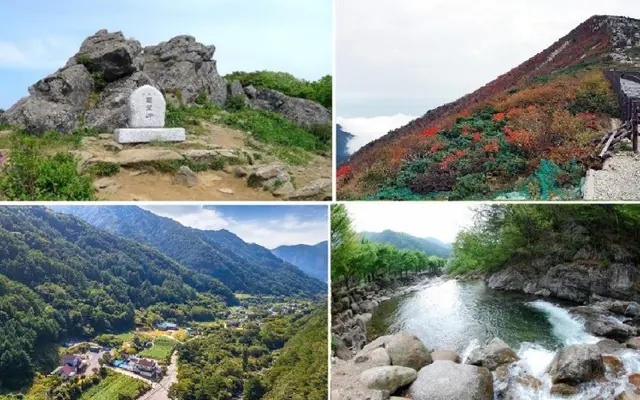 단양 몽벨리펜션(소백산입구) 전망