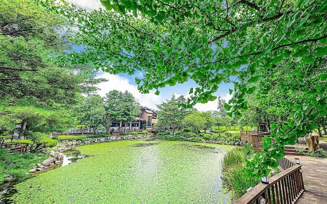오월의정원 — 강릉 기타