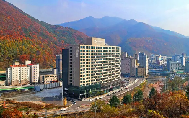 정선 인투라온 호텔 — 정선 호텔