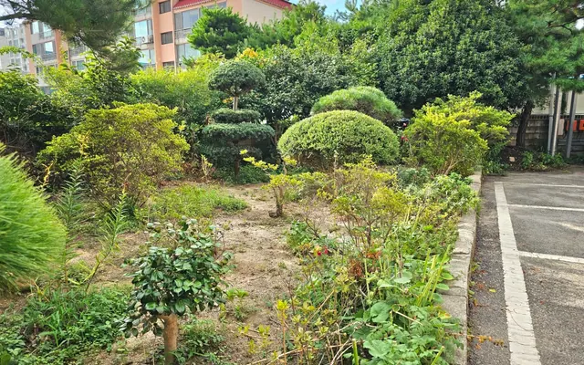 고창 그린파크 모텔 전망