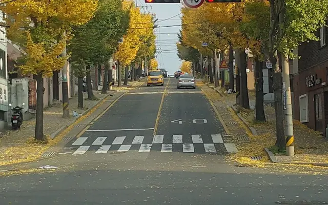 울산 게스트 하우스 배호한마루 — 울산 게스트하우스