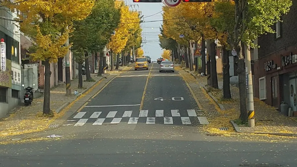 울산 게스트 하우스 배호한마루 대표 사진