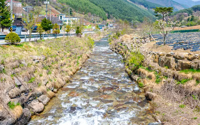 정선 정선스테이펜션 전망