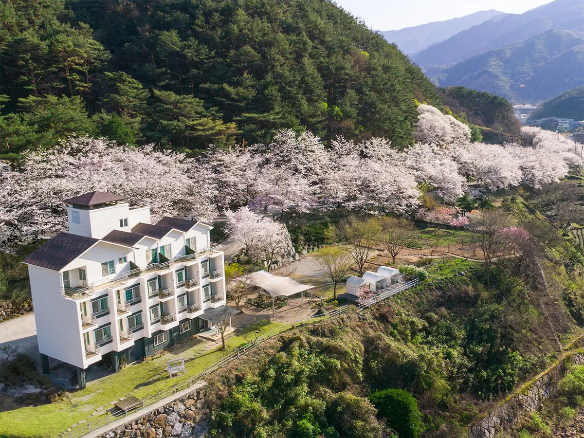하동 지리산팔베개펜션 대표 사진