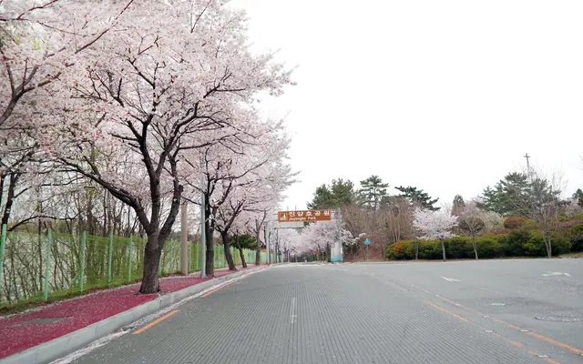 아시아레이크사이드호텔 사진