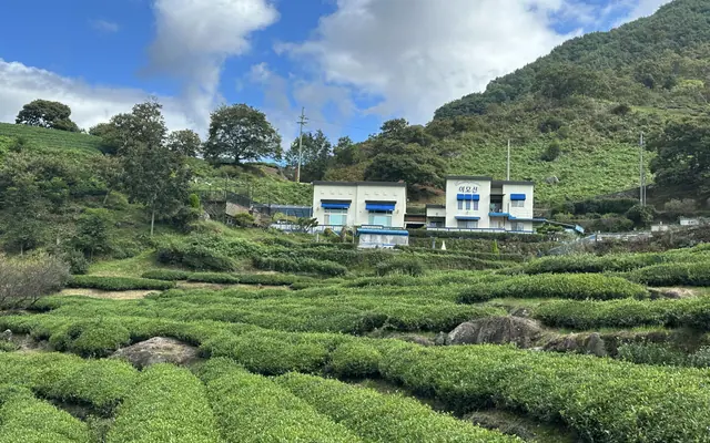하동 이모션펜션 객실