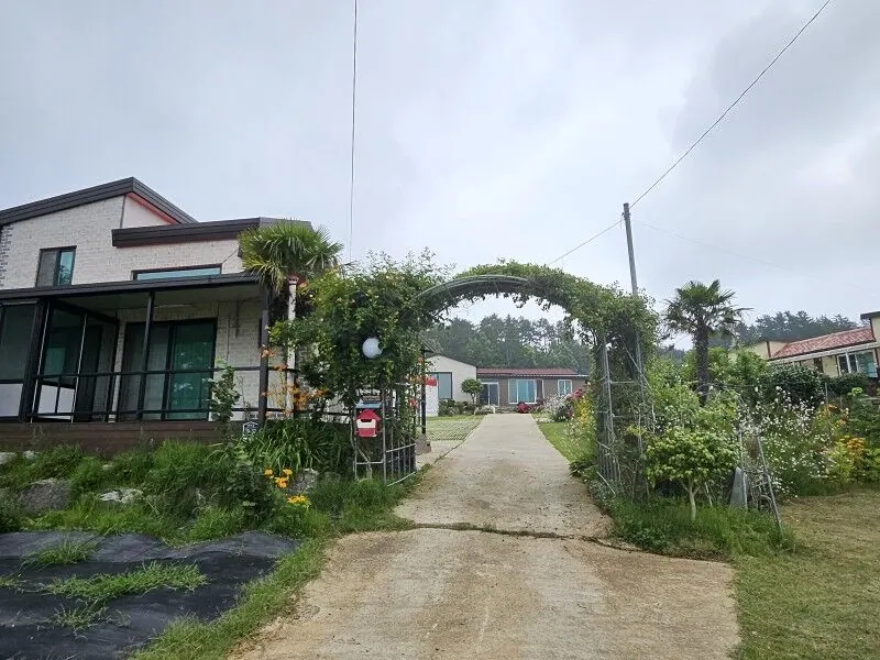 완도 용현이네펜션 대표 사진